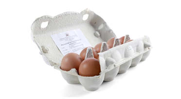 Eier Kleinsägmühlerhof Altleiningen