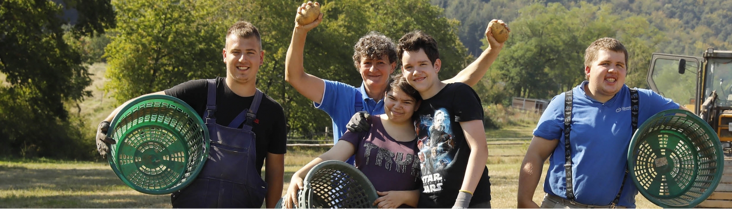 Kartoffelernte Kleinsägmühlerhof Altleiningen