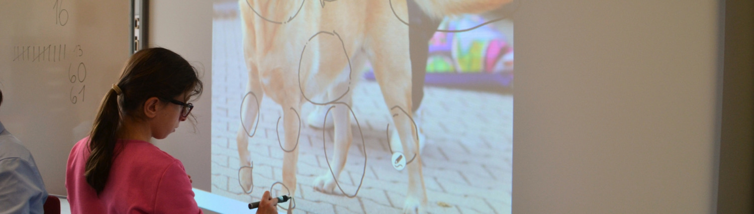 Header - Medienerziehung Siegmund Crämer Schule